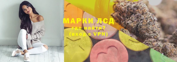 гашик Касимов