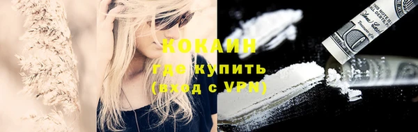 гашик Касимов