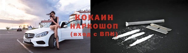 гашик Касимов