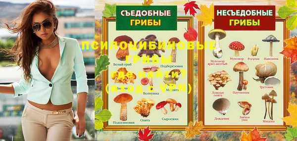 шишки Карталы