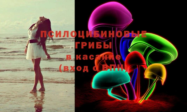 гашик Касимов