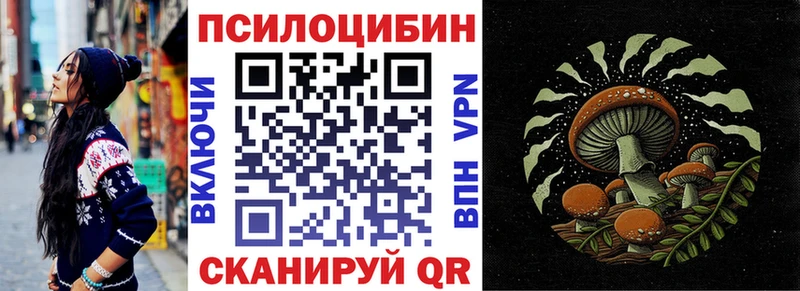 Купить  Верея  Галлюциногенные грибы мицелий 